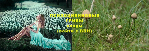 гашик Красноперекопск